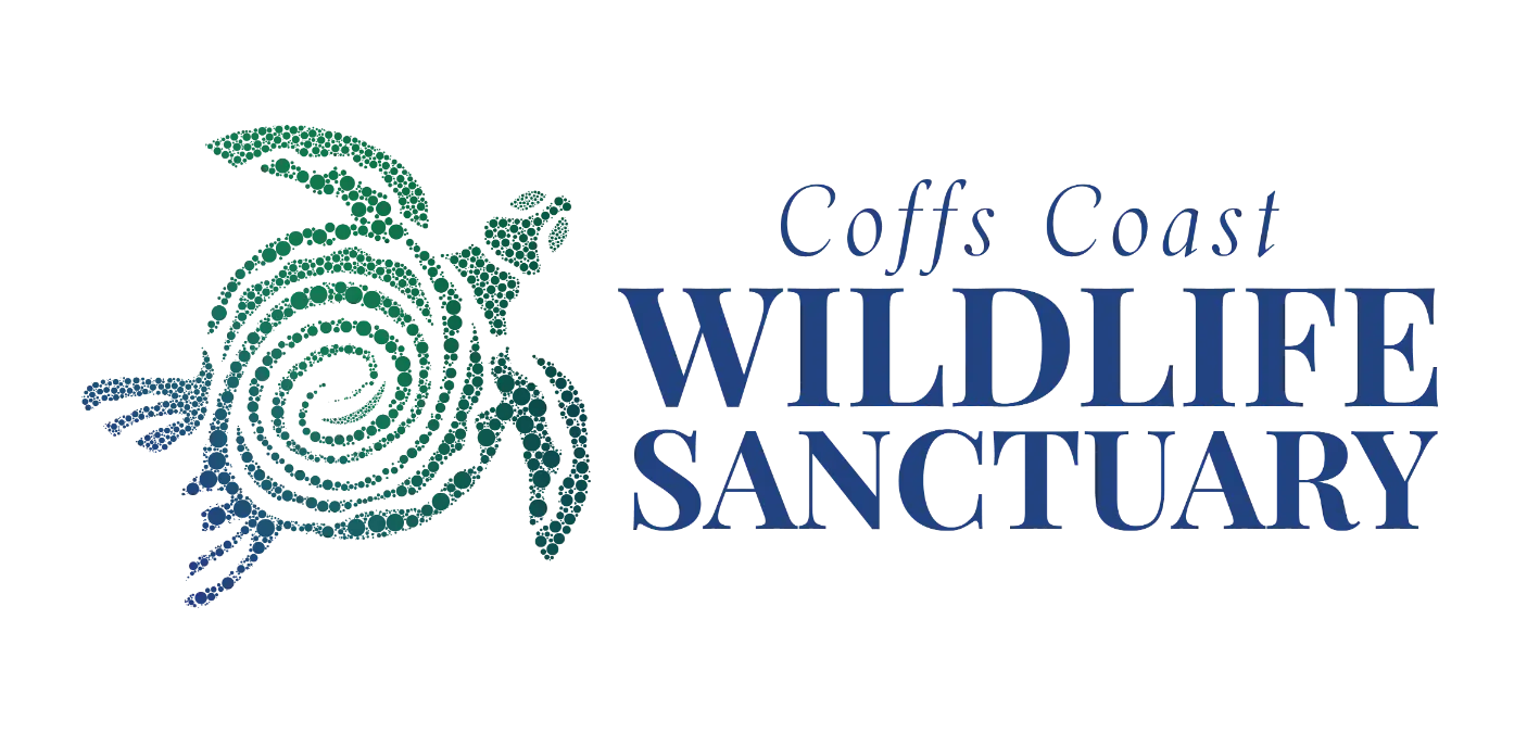 CCWS-Logo-04